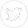 Twitter Icon